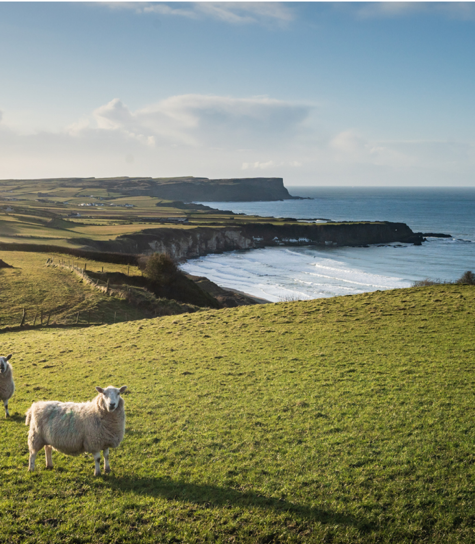 Ireland